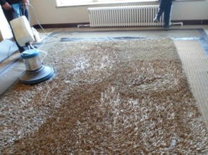 專業高效，潔凈無憂——廣州番禺工廠寫字樓地毯清洗消毒與土工材料維護全攻略