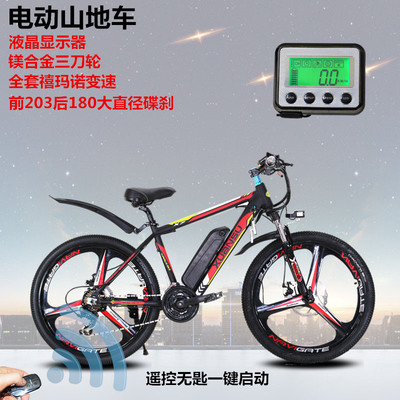 電動(dòng)自行車市場(chǎng) 銷售現(xiàn)狀與未來趨勢(shì)